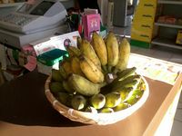 Resized JPEG graphic